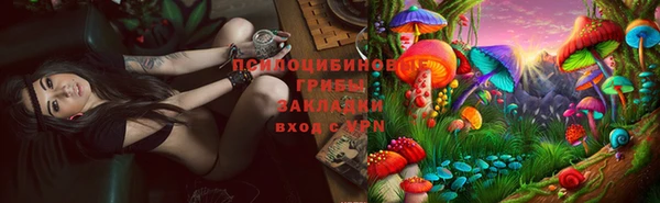 СК Касимов