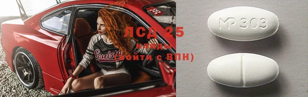 СК Касимов
