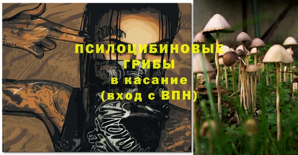 прущая мука Карпинск