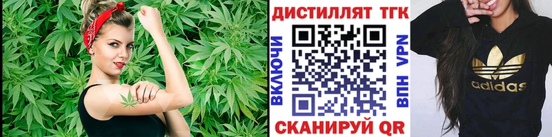 Купить где  Змеиногорск  ТГК гашишное масло 