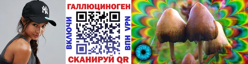 Купить  Змеиногорск  Галлюциногенные грибы Cubensis 